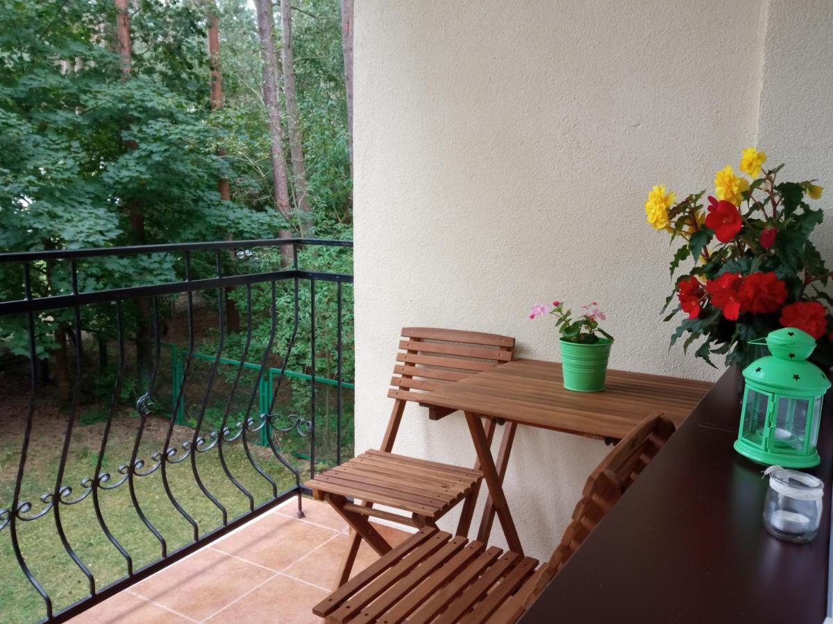 Borowka W Blue Mare Apartment Lukecin Ngoại thất bức ảnh